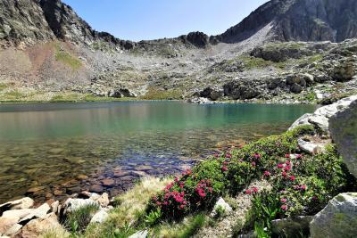 Agrandir l'image 2 sur 10, fenêtre modale