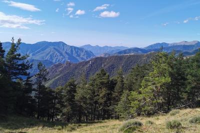 Agrandir l'image 1 sur 10, fenêtre modale