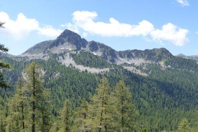 Agrandir l'image 2 sur 10, fenêtre modale