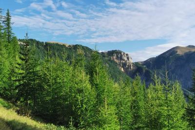 Agrandir l'image 2 sur 10, fenêtre modale