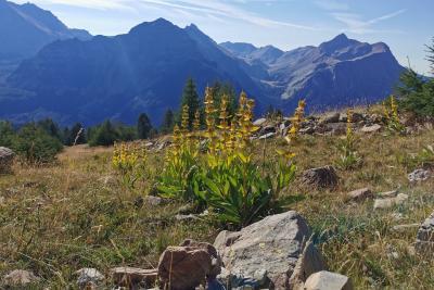 Agrandir l'image 3 sur 10, fenêtre modale