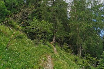 Agrandir l'image 3 sur 10, fenêtre modale