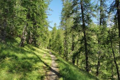 Agrandir l'image 2 sur 10, fenêtre modale