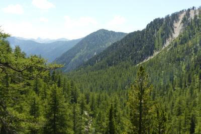 Agrandir l'image 1 sur 10, fenêtre modale