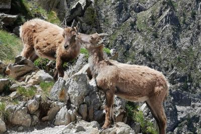 Agrandir l'image 3 sur 10, fenêtre modale