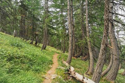 Agrandir l'image 4 sur 10, fenêtre modale