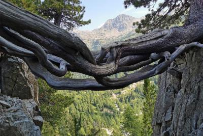 Agrandir l'image 4 sur 10, fenêtre modale