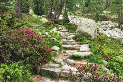 Agrandir l'image 3 sur 10, fenêtre modale