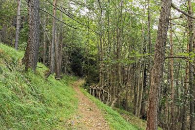 Agrandir l'image 4 sur 10, fenêtre modale