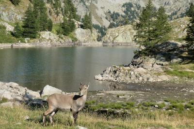 Agrandir l'image 4 sur 10, fenêtre modale