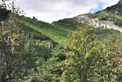 Agrandir l'image 5 sur 10, fenêtre modale