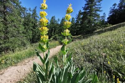 Agrandir l'image 5 sur 10, fenêtre modale