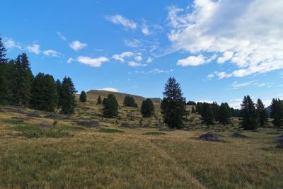 Agrandir l'image 4 sur 10, fenêtre modale