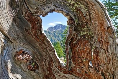 Agrandir l'image 6 sur 10, fenêtre modale