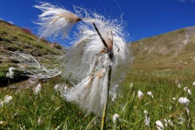 Agrandir l'image 5 sur 10, fenêtre modale