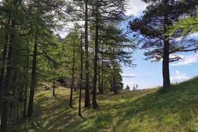 Agrandir l'image 7 sur 10, fenêtre modale