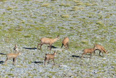 Agrandir l'image 7 sur 10, fenêtre modale