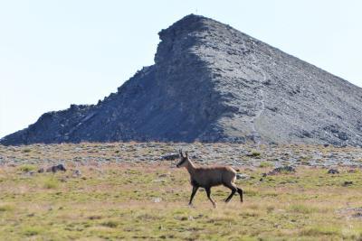 Agrandir l'image 6 sur 10, fenêtre modale