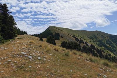 Agrandir l'image 9 sur 10, fenêtre modale