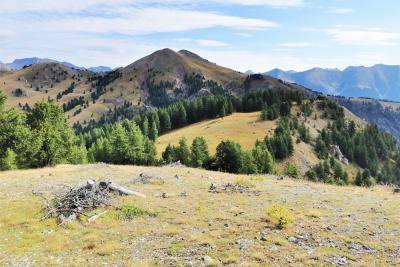 Agrandir l'image 8 sur 10, fenêtre modale