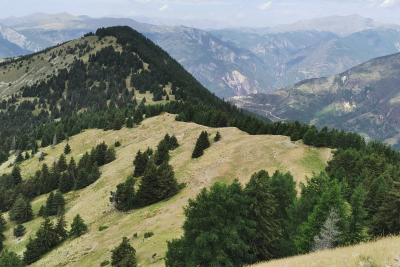 Agrandir l'image 8 sur 10, fenêtre modale