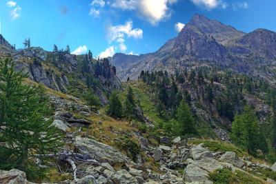 Agrandir l'image 9 sur 10, fenêtre modale