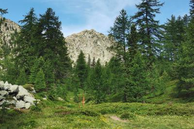 Agrandir l'image 10 sur 10, fenêtre modale